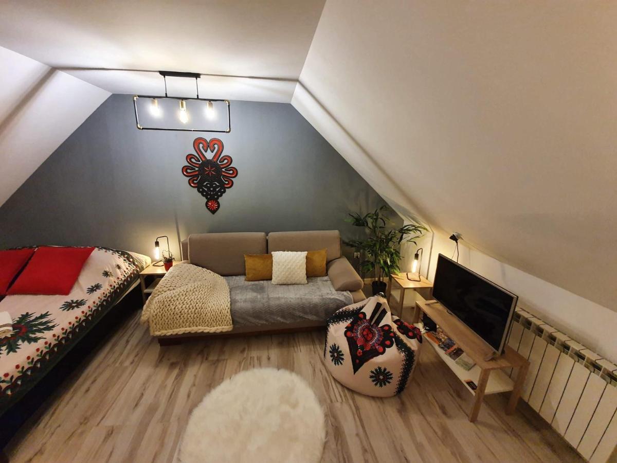 Apartament Jaskier ザコパネ エクステリア 写真