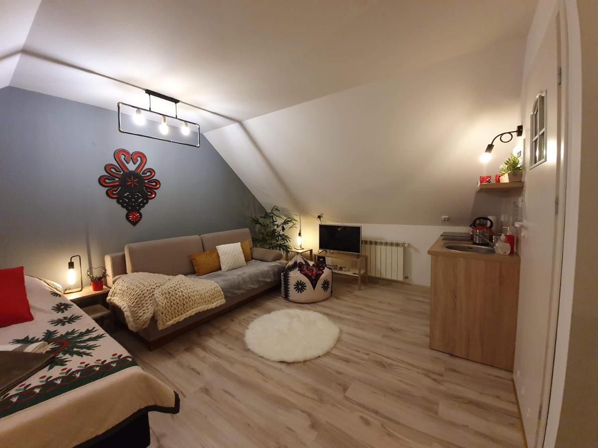 Apartament Jaskier ザコパネ エクステリア 写真