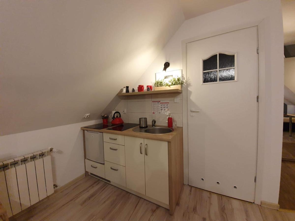 Apartament Jaskier ザコパネ エクステリア 写真
