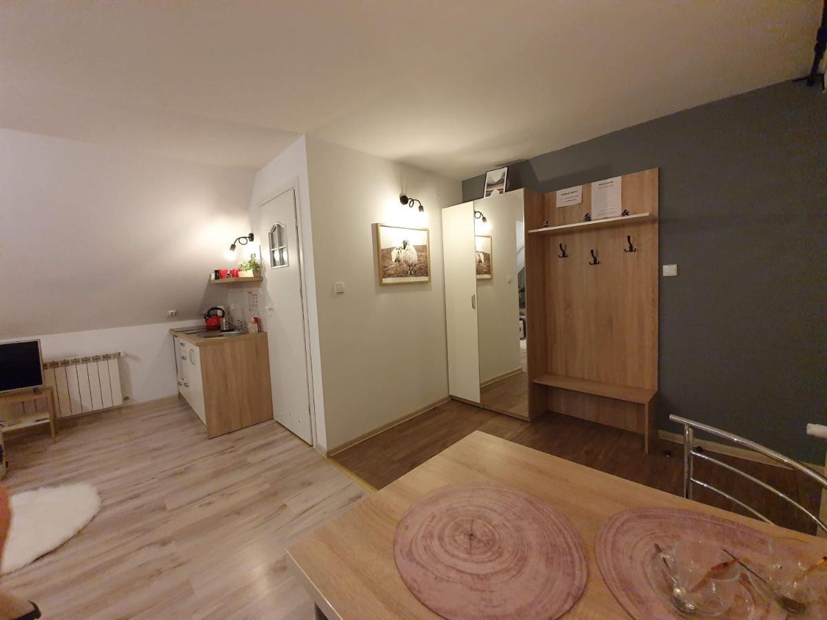 Apartament Jaskier ザコパネ エクステリア 写真
