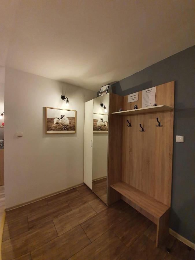 Apartament Jaskier ザコパネ エクステリア 写真